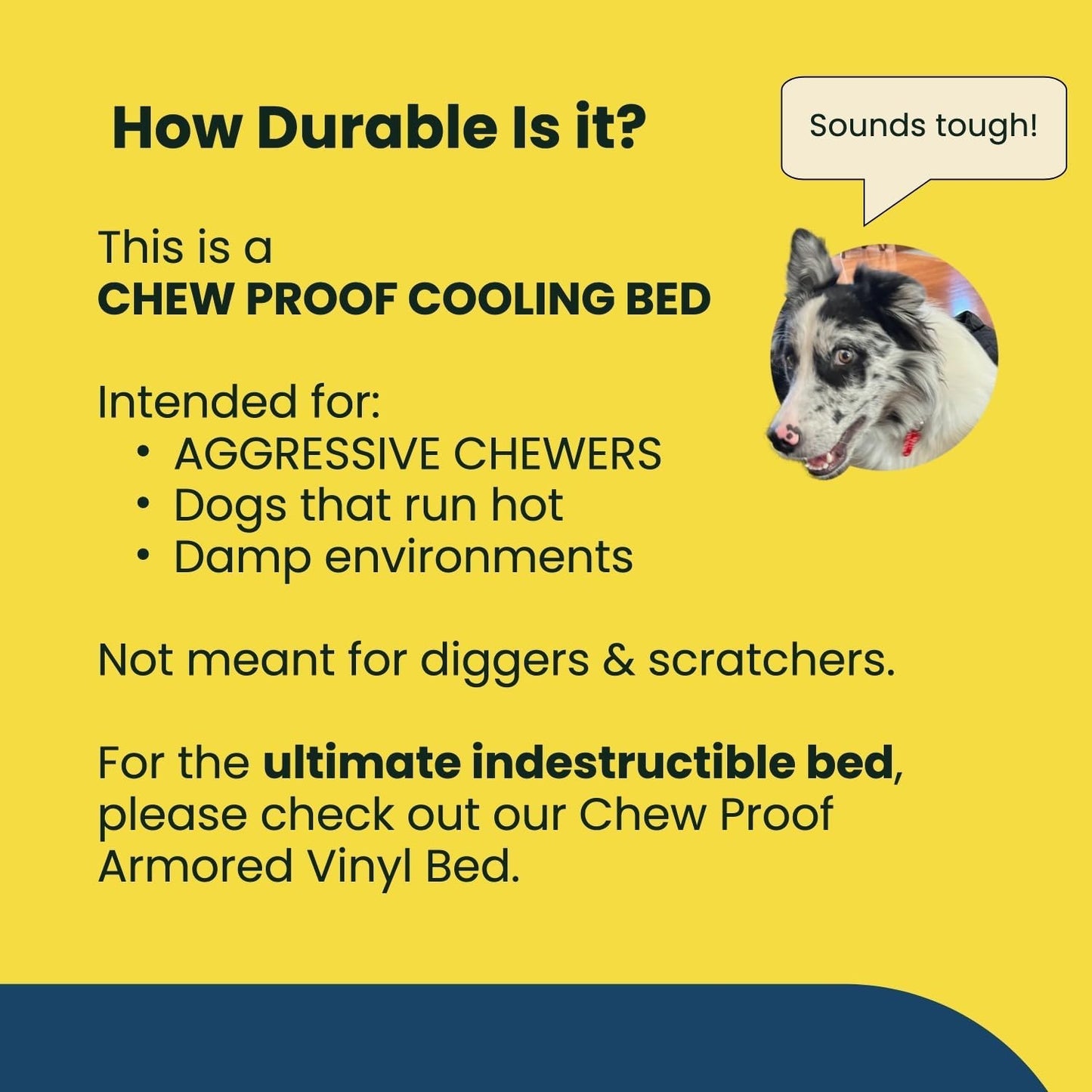 Chew Proof Elevated Outdoor Cooling Cot Bed for Large Dogs - Virtually Indestructible, Preassembled, Withstands Aggressive Chewers - L, Black Mesh