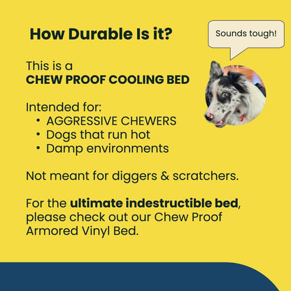 Chew Proof Elevated Outdoor Cooling Cot Bed for Large Dogs - Virtually Indestructible, Preassembled, Withstands Aggressive Chewers - L, Black Mesh