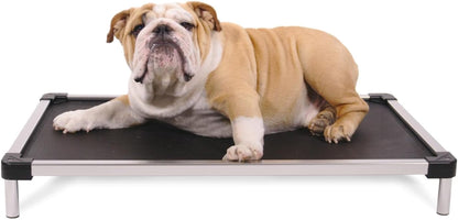 Chew Proof Elevated Outdoor Cooling Cot Bed for Large Dogs - Virtually Indestructible, Preassembled, Withstands Aggressive Chewers - L, Black Mesh