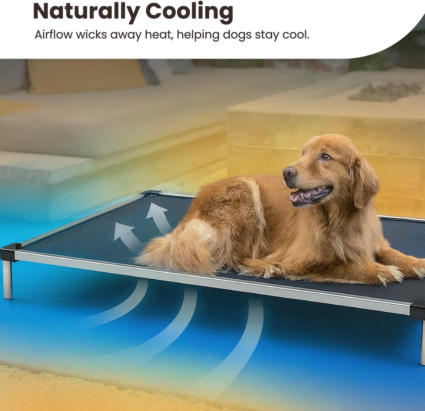 Chew Proof Elevated Outdoor Cooling Cot Bed for Large Dogs - Virtually Indestructible, Preassembled, Withstands Aggressive Chewers - L, Black Mesh