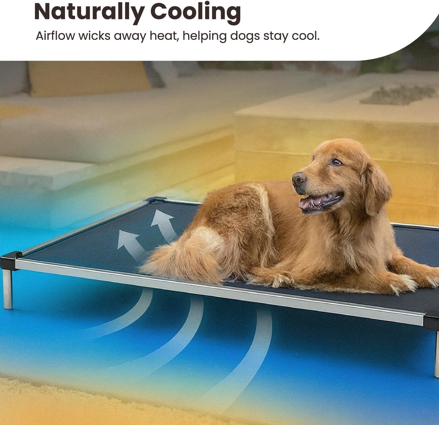 Chew Proof Elevated Outdoor Cooling Cot Bed for Large Dogs - Virtually Indestructible, Preassembled, Withstands Aggressive Chewers - L, Black Mesh