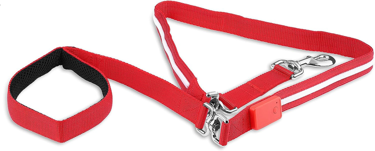 ' Safety LED Dog Leash - USB Rechargeable Light, 6 Ft, Waterproof - Avoid Danger - Red